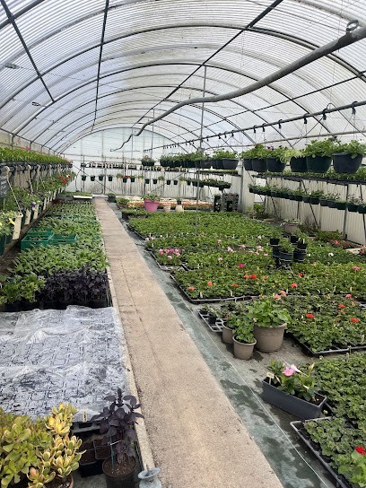 Sarl Rillie - Jardin Du Moulin Porte, Primeur Fruits et Légumes à Mer