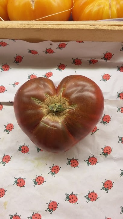 Olympic Gros ( Primeur ), Primeur Fruits et Légumes à Martigues