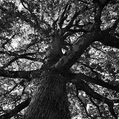Les Jardins De Codenet, Primeur Fruits et Légumes à Val d'Oust