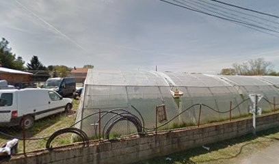 Grange Emile - Maraîchage, Primeur Fruits et Légumes à Cleppé