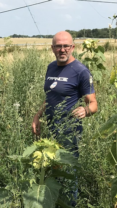 Les Jardins De La Tuilerie, Primeur Fruits et Légumes à Terrebasse