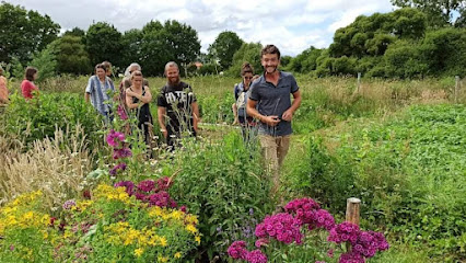 Les Mandalas De Compost'elle Permaculture Formations Primeur - Fruits Et Légumes à Saint-Christophe-du-Ligneron