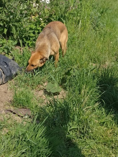 GAEC des Magrès, Primeur Fruits et Légumes à Comines