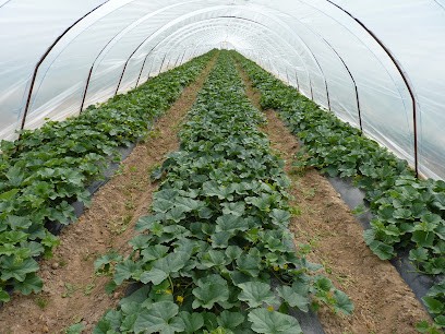 EARL FONTANAL, Primeur Fruits et Légumes à Fauillet