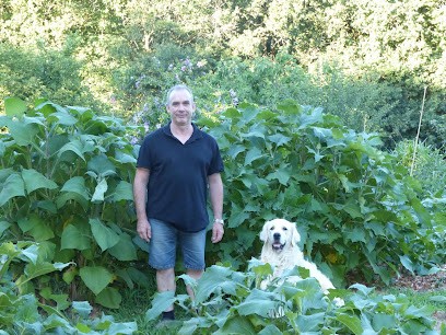 Mes Bios Légumes, Primeur Fruits et Légumes à Talmont-Saint-Hilaire