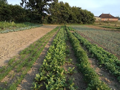 LA TERRE FERME, Primeur Fruits et Légumes à Montagnieu
