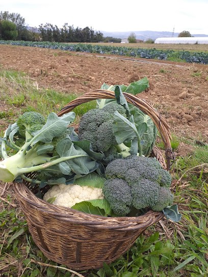 Ferme De Marquet, Primeur Fruits et Légumes à Saint-Marcel-lès-Valence