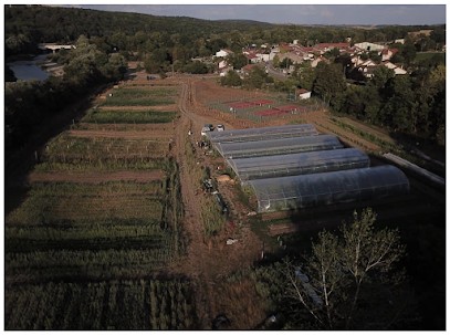 Ferme Element Terre, Primeur Fruits et Légumes à Flavigny-sur-Moselle
