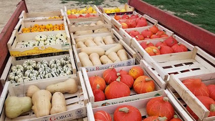 Graine 2 Vies, Primeur Fruits et Légumes à Saint-Berthevin