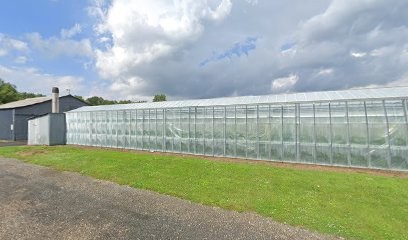 Viet Dany, Primeur Fruits et Légumes à Saint-Laurent-Nouan