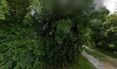 Ferme De Pommartin, Primeur Fruits et Légumes à Marsac
