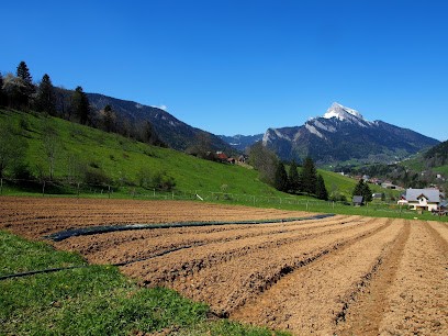 Les Jardins De Chamechaude, Primeur Fruits et Légumes à Saint-Pierre-de-Chartreuse