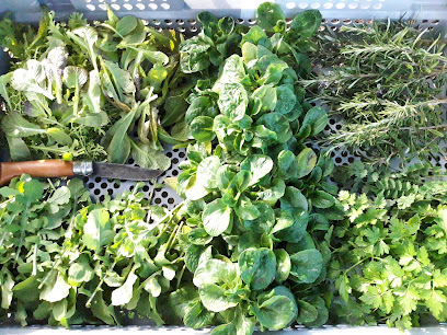 L'îlot Des P'tits Passereaux, Primeur - Fruits Et Légumes à Ygrande
