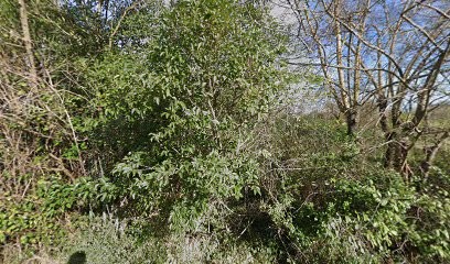 Maraîchers Bio de Grabels, Primeur Fruits et Légumes à Grabels