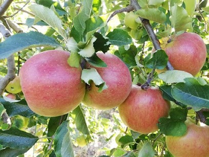 Au Jardin De Noisy, Primeur Fruits et Légumes à Ville-Saint-Jacques