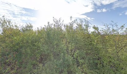 INSULA, Primeur Fruits et Légumes au Breuil