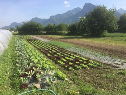 Les Terres Du Héron, Primeur Fruits et Légumes à Sassenage