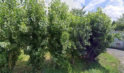 La ferme des Arsouilles, Primeur Fruits et Légumes à Sainte-Livrade-sur-Lot