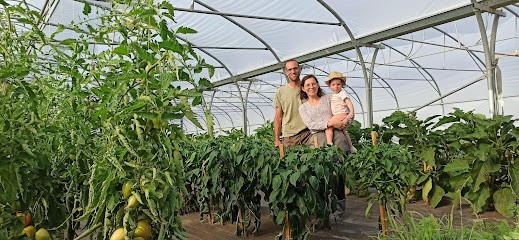 L'arche De Lezé, Primeur Fruits et Légumes à Petit-Auverné