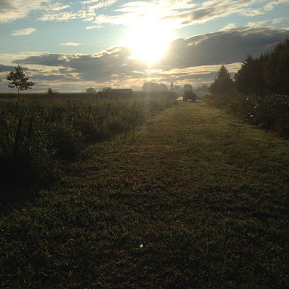 Lafourcade Christian (64 Saveurs de l'Adour), Primeur Fruits et Légumes à Lahonce