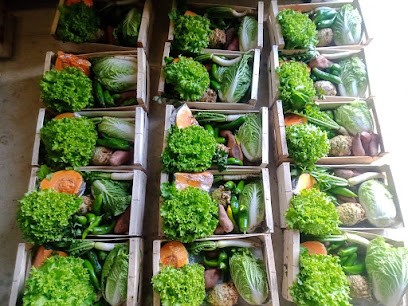 GAEC Les Cabas, Primeur Fruits et Légumes à Sabaillan