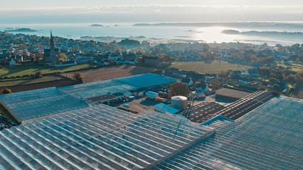 Thomas plants, Primeur Fruits et Légumes à Ploubazlanec