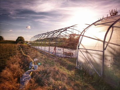 Ferme de la Guinguette, Primeur Fruits et Légumes à Ogéviller