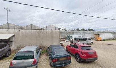 L'A-Bio De Tom Et Adel, Primeur Fruits et Légumes à Saint-Paul-Trois-Châteaux