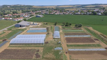 Au Vert D'un Pré, Primeur Fruits et Légumes à Belleray