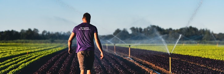Les Légumes Du Val De Saône, Primeur Fruits et Légumes à Ozan