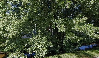 Aux Primeurs Des Vosges SAS, Primeur Fruits et Légumes à Remiremont