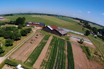 Le Jardin De La Ferrière, Primeur Fruits et Légumes à Pissy-Pôville