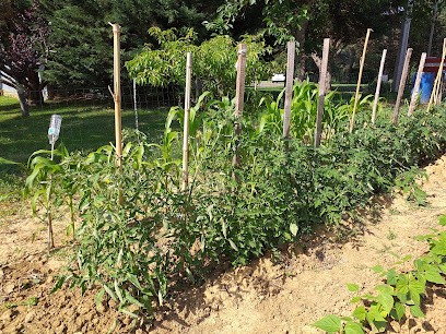 Le Panier Des Mongettes, Primeur Fruits et Légumes à Monfort