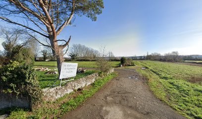 Pierre Testé, Primeur Fruits et Légumes à Mirepeix