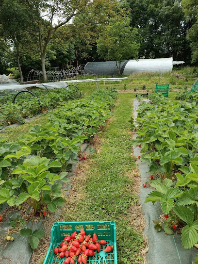 Les Jardins De La Quintinie, Primeur - Fruits Et Légumes à Chabanais