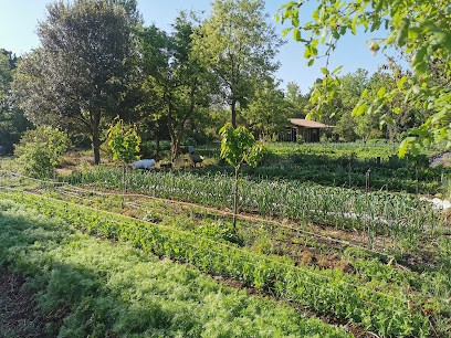 Le Jardin Quietous, Primeur Fruits et Légumes à Camps-la-Source