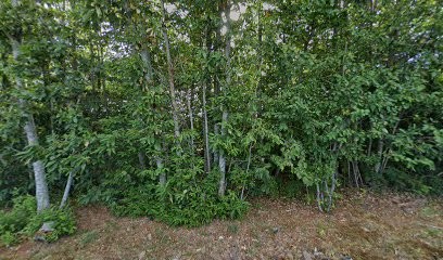 Dutertre Gérard, Primeur Fruits et Légumes à Trangé