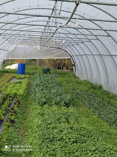Laurent Rappart, Primeur Fruits et Légumes à Beaumont-Pied-de-Boeuf