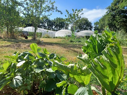 La Ferme De La Brosse, Primeur Fruits et Légumes à Plessé