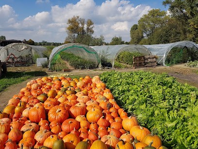 Les Paniers Du Coin, Primeur Fruits et Légumes à Nivelle