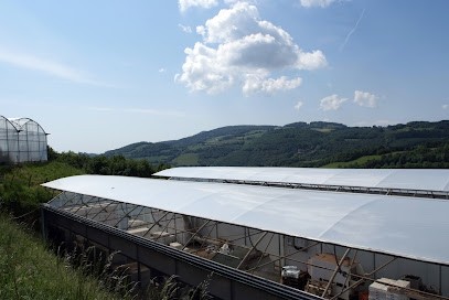 Cellier EARL Et SAS, Primeur Fruits et Légumes à Saint-Martin-en-Haut