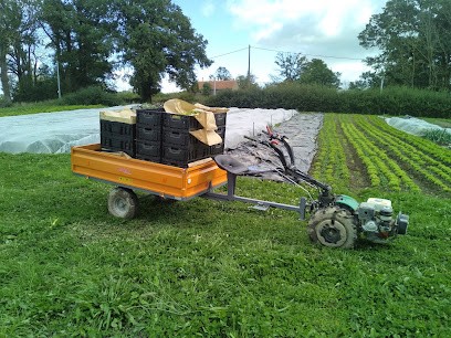 Le Champ De L'Aurore, Primeur Fruits et Légumes à Tronget