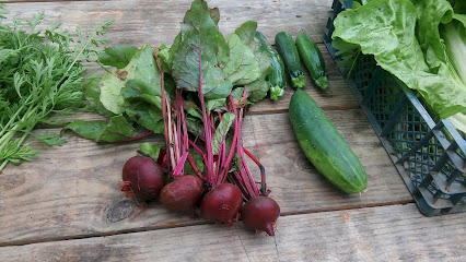Le Jardin De Pitch - Maraîcher Bio Primeur - Fruits Et Légumes à Nègrepelisse