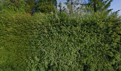 Devriendt Patrice, Primeur Fruits et Légumes à Zegerscappel