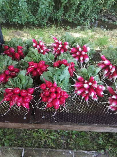 Le Jardin Des Grenouilles Primeur - Fruits Et Légumes à Lunac