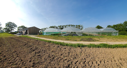 Gaec La Ferme Des Deux Ruisseaux, Primeur - Fruits Et Légumes à Ercé-près-Liffré