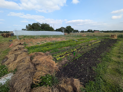 Mon Coing De Nature, Primeur - Fruits Et Légumes à Pujaudran