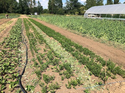 Les Jardins Du Marais, Primeur Fruits et Légumes à Chasseneuil-du-Poitou