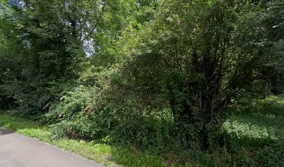 Les Légumes Branchés, Primeur Fruits et Légumes à Sainte-Néomaye