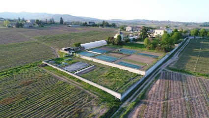Les Jardins des Jean Loron - Bio, Primeur Fruits et Légumes à La Chapelle-de-Guinchay